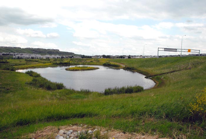 02Beddington-Stoney-253