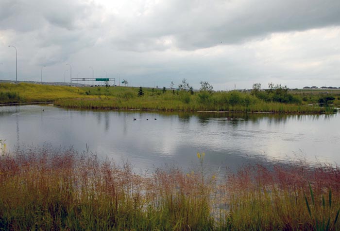 04Beddington-Stoney-July-10