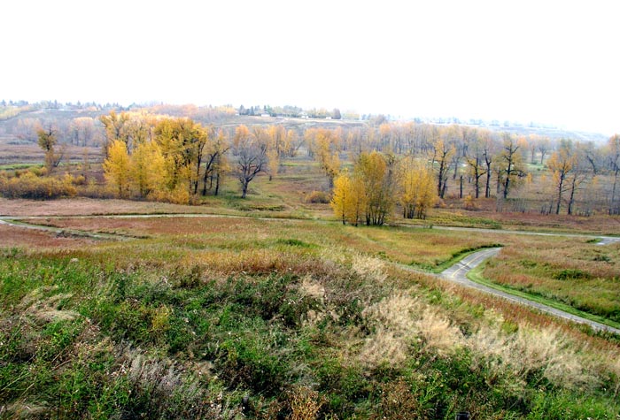 01Calgary-SWM-Retrofit-Study-1635