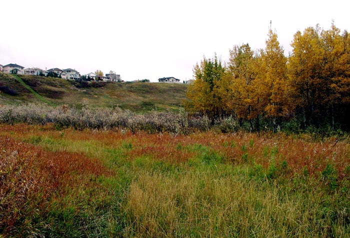 05Calgary-SWM-Retrofit-Study-1578