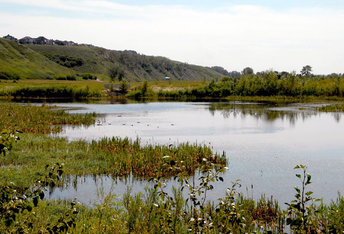 05Fish-crk-east-july-10