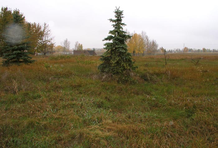 06Calgary-SWM-Retrofit-Study-1546