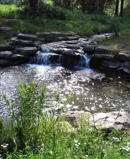 06pearce-est-stream-085