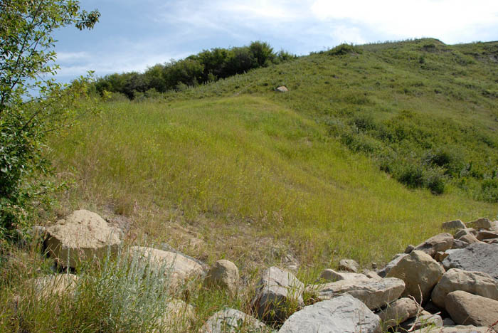 fish-ck-east-outfall-259